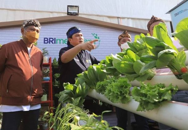 Kembangkan Program BRI Menanam, BRI perkuat Prinsip Enviromental Social Governance ( ESG )