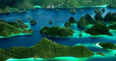 Pemerintah Cabut 4 Dari 5 IUP Nikel Di Raja Ampat. Jaga Aturan Lingkungan dengan baik, IUP PT. Gag Nikel Anak PT Antam Tidak Dicabut