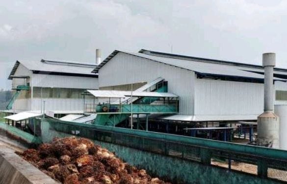 pabrik kelapa sawit